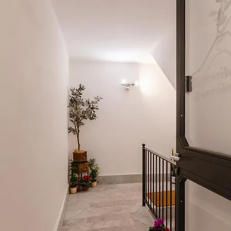 Affittacamere Monteoliveto 33