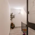 Affittacamere Monteoliveto 33